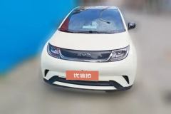 2024 BYD Dolphin 2024 Glory 420km Fashion #2