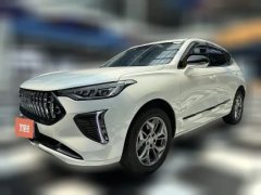 2023 Haval Chitu 2023 1.5T excellence #1