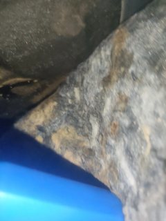 Right Rear Carpet (with Trim)