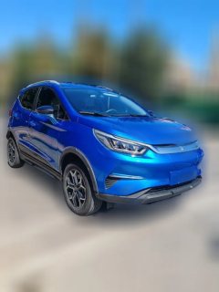2021 BYD Yuan Pro 2021 want to love1bornEdition #2