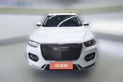 2020 Haval H6 2021 1.5T AT Champion #2
