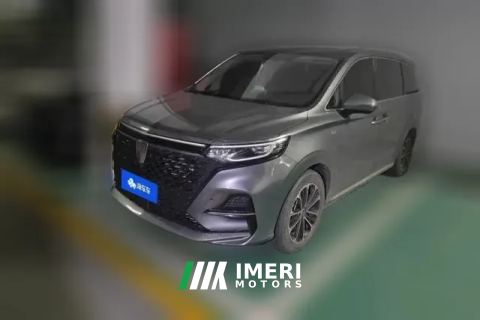 2022 Roewe iMAX8 2022 2.0T AT 400TGI GatheringEdition