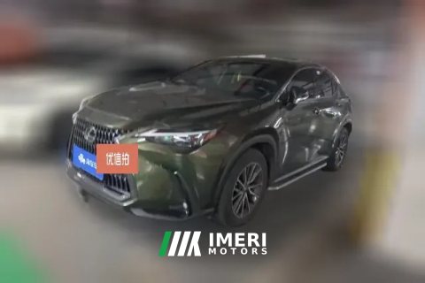 2022 Lexus NX 2022 2.5 AT 260 FWD ChuangyueEdition (Imported)