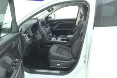 2022 Haval H6 2021 1.5T AT China tideChampion #9