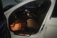 2021 BMW 5 Series 2021 2.0T AT 530LiLeadingLuxury Pkg #9