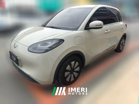2023 Wuling Motors Wuling Bingo 2023 333KM Joy