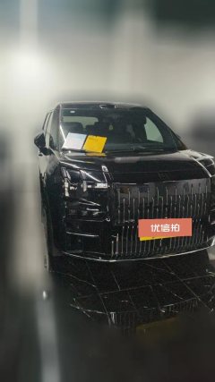 2024 Zeekr 009 2024 7SeataisleEdition4WD 108kWh #4