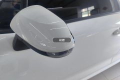 Left Exterior Mirror