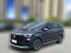 2020 Roewe iMAX8 2021 2.0T AT 400TGISupremeSeriesHonor #1
