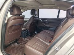 2021 BMW 5 Series 2021 2.0T AT 530LiLeadingLuxury Pkg #5