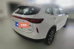 2020 Haval H6 2021 1.5T AT No.3generation2WDMax #3