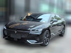 2024 Voyah Zhuiguang 2024 PHEV 4WDSuperLong RangeExecutive #4