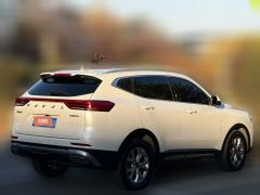 2021 Haval H6 2021 1.5T AT China tideChampion #4