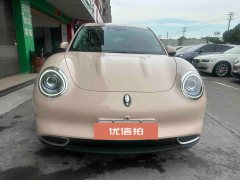 2022 Ora Good Cat 2022 400kmStandardBattery life AT Luxury NMC #2