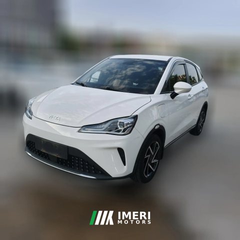 2024 Neta AYA 2023 401 Lite