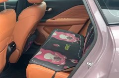 2025 Aion RT 2025 650ZhihaoEdition #8