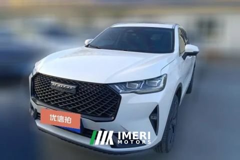 2024 Haval H6 2021 2.0T AT No.3generation2WDMax