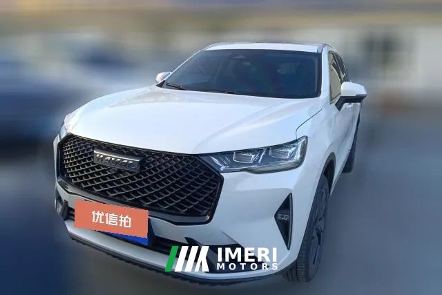 2024 Haval H6 2021 2.0T AT No.3generation2WDMax