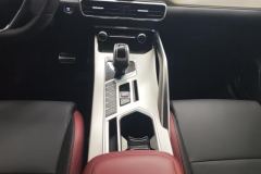 2021 Geely Auto Binyue 2020 1.5T AT PRO 260Tknight #16