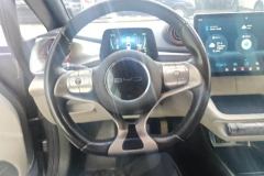 2023 BYD Dolphin 2021 405km Fashion #15