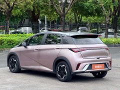 2022 BYD Dolphin 2021 405km Fashion #18