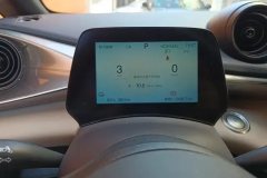 2026 BYD Dolphin 2025 420km freeEdition #14