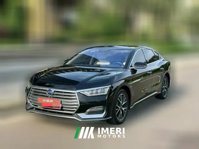 2022 BYD E9 2021 Business