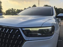 2022 Haval H6 2021 1.5T AT China tideChampionGDI #8