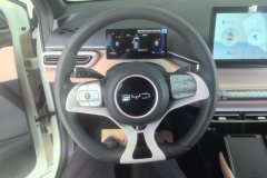 2024 BYD Seagull 2025 305km vitalityEdition #15