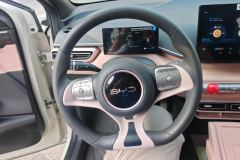 2025 BYD Seagull 2024 Glory 305km vitalityEdition #15