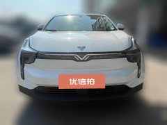 2022 Neta U 2021 Facelift Pro 400 industryCustom #2