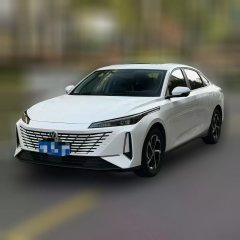2025 Chang'an Eado 2024 1.5T AT GDI Pleasure #1