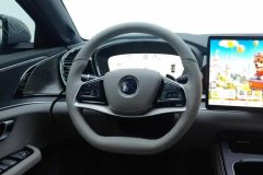 2025 BYD Han 2025 DM-i Smart Drive 125KMlidarFlagship #15