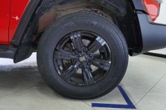 2023 Tank 300 2023 Off-road 2.0T AT conqueror #6