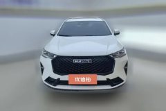 2023 Haval H6 2021 2.0T AT No.3generation2WDMax #2