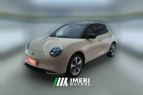 2023 Ora Good Cat 2023 401KmStandardBattery life Luxury LFP