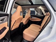 2024 Dongfeng Fengxing Fengxing T5 Evo 2024 1.5TD DCT Storm Platinum Edition #8