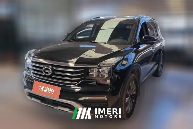 2019 GAC Trumpchi Trumpchi GS8 2017 2.0T AT 320T 2WDLuxurySmart Connect（7Seat）