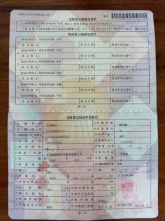 2023 Neta AYA 2023 401 #11