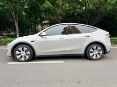 2021 Tesla Model Y 2021StandardBattery lifeRWDEdition #5
