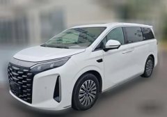 2025 BYD Xia 2025 DM-i 1.5T AT 180km excellence #1