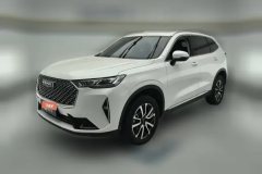 2023 Haval H6 2022 No.3generation 1.5T AT 2WDPro #1