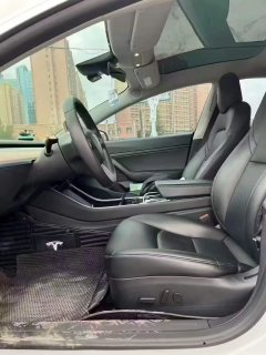 2020 Tesla Model 3 2020 StandardBattery lifeRWDUpgradeEdition #4