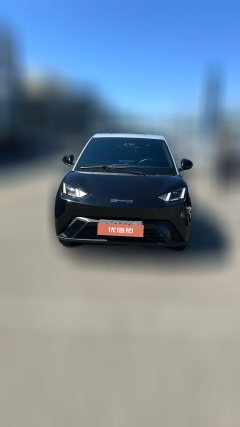 2024 BYD Seagull 2024 Glory 305KM freeEdition #5