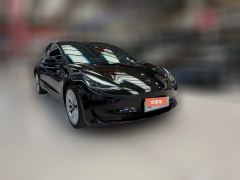 2023 Tesla Model 3 2022 rear wheel driveEdition #2