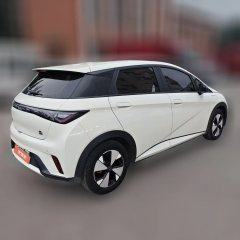 2024 BYD Dolphin 2023 420km freeEdition #7