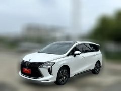 2023 Dongfeng Fengxing Fengxing Youting 2022 1.5T AT DCTChase the wavesEdition #1
