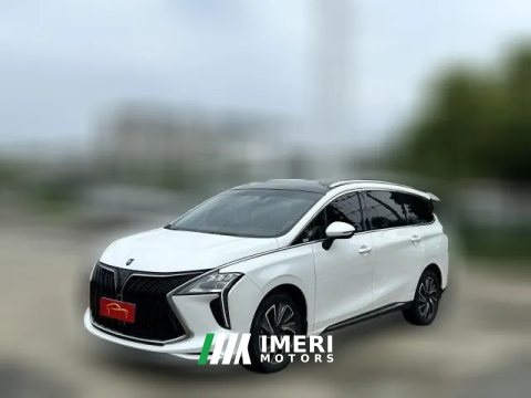 2023 Dongfeng Fengxing Fengxing Youting 2022 1.5T AT DCTChase the wavesEdition