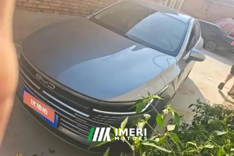 2024 BYD Destroyer 05 2024 Glory 1.5L AT DM-i 55KM Luxury