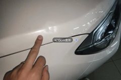 Engine Hood